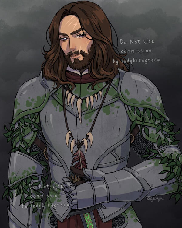 seasoned adventurer with old scars on his face. His metal armour is covered in moss, foliage and scratches from battle.